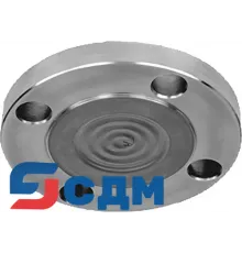 7MF0810-0ED00-0AA0-Z D67