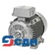 1LE1541-2AA5.-.... Серия чугунных 1LE1541 - Двигатель SIMOTICS самовентилируемый