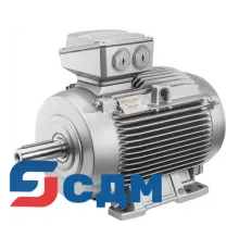 1PC1463-2AC5.-.... Серия чугунных 1PC1463 - Самовентилируемый