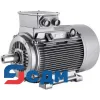 1MA6130-6BB.. Самовентилируемые двигатели для Зоны 1 с типом защиты e, серия 1MA6 с чугунным корпусом