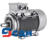 1MA6130-6BB.. Самовентилируемые двигатели для Зоны 1 с типом защиты e, серия 1MA6 с чугунным корпусом