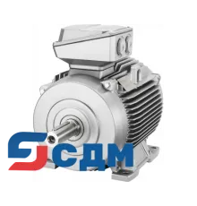 1PC1433-1CB2.-.... Серия чугунных 1PC1433 - Самовентилируемый