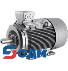 1LG6280-8PM.. Самовентилируемые двигатели со специальной изоляцией, серия 1LG6 с чугунным корпусом